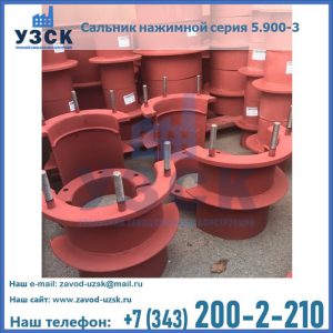 Сальники нажимные серия 5.900-3 в Костроме